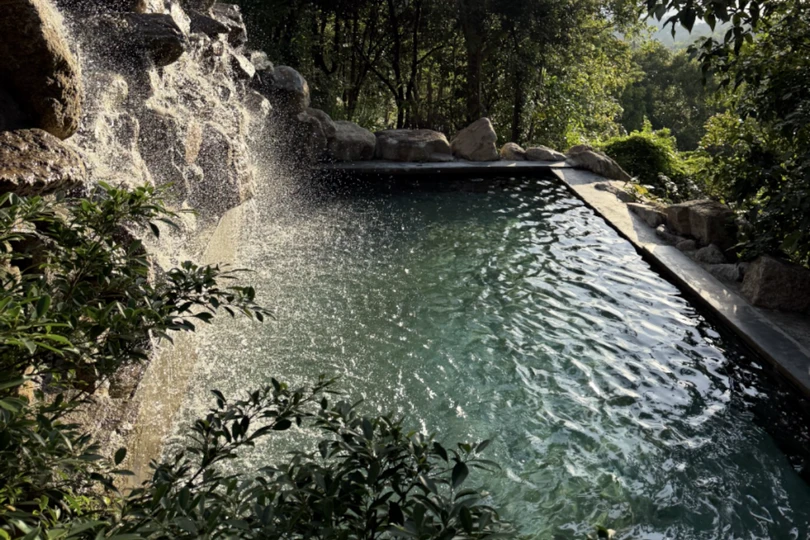 A natural stone pool fed by a small waterfall over a rock face, deep green water catching the light, jungle pressing in on every side.