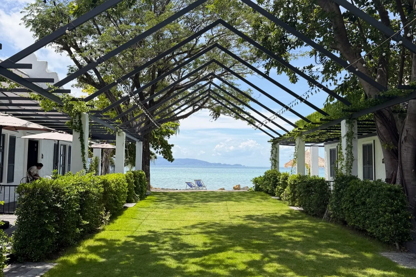 The lawn between the two rows of suites at Milky Bay, under a run of pergola arches hung with greenery, looking along it to the sea.