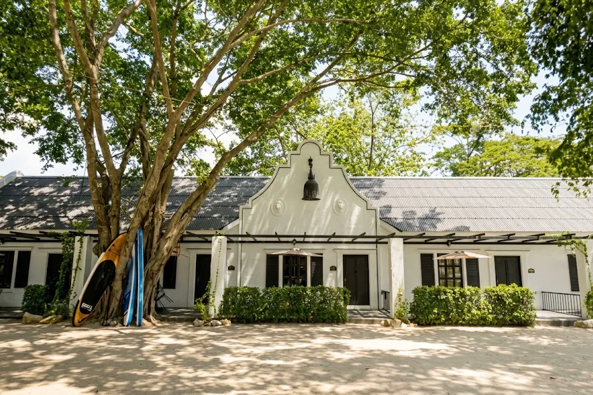The resort's main building at Milky Bay: a white Cape Dutch-style gable with a bell under spreading trees, stand-up paddleboards leaning against the trunk.