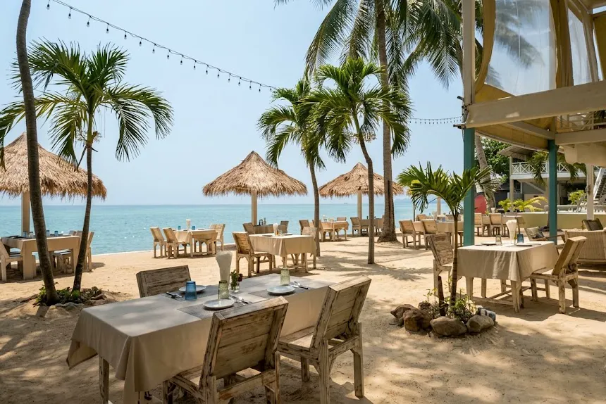 Dining tables laid on the beach at Milky Bay under thatched parasols and palm trees, string lights overhead and the sea a few steps away.